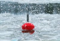 ​从你的全世界路过经典语录