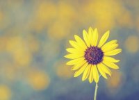 ​蜡笔小新经典语录