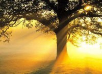 ​不相信男人的经典语录