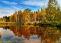 ​经典语录摘抄