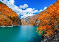 ​微笑经典语录