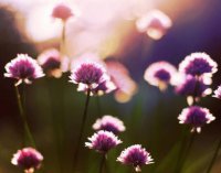 ​放松心情的语录