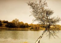 ​国富论经典语录