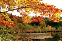 ​早安励志语录正能量