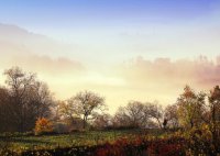 ​女人经典语录