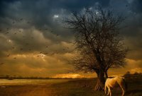 ​经典语录励志人生感悟