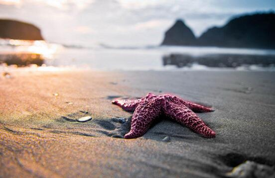 强大的内心经典语录