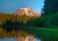 ​心情微博语录