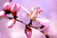 ​细节打败爱情经典语录