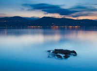 ​奇葩说经典语录