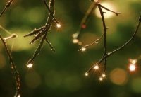 ​表达真诚感谢的话