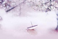 ​张爱玲经典语录