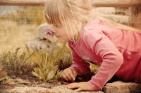 ​步姓女孩名字大全