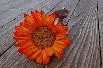 游戏名字两字繁体