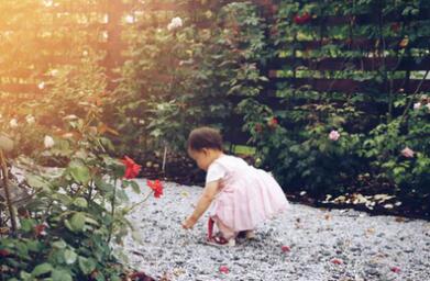 张姓女孩名字大全100分有涵养