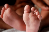 ​2023宝宝取名大全女孩 起名网文雅的名字