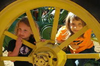 ​萌萌的不叠字的乳名 智能起名有寓意的名字