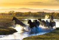 ​生活（感悟生活不易的幽默说说）