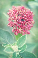 ​励志的说说还带图片（青春迷茫的励志句子）