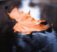 ​幸福的网名女生--要有梦想-即使遥远