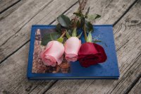 ​被相亲对象拒绝心情 相亲后男方不主动联系要主动吗