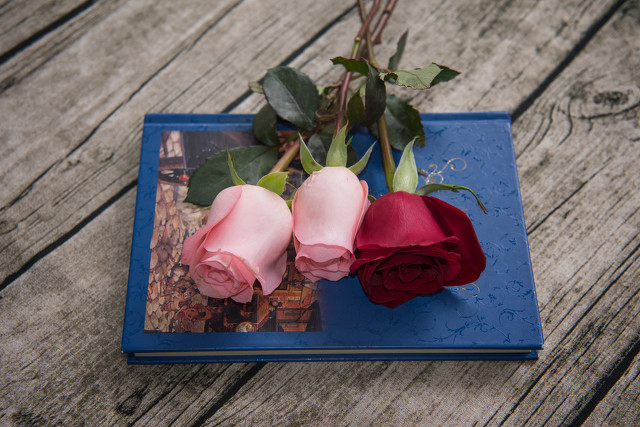 被相亲对象拒绝心情 相亲后男方不主动联系要主动吗