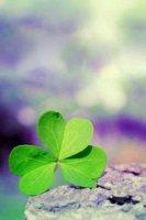 ​关于青春的说说短句 致青春说说经典语录(24条)