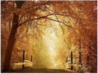 ​qq女生说说个性网男友 qq个性说说女生可爱萌