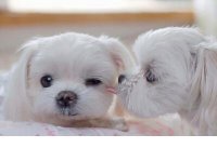 ​三八节朋友圈说说 2023三八节心情说说[24条]