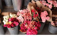 ​关于工作生涯的说说 对工作失望的说说心情