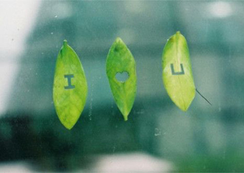 a开头的特别意义的网名(a开头有寓意网名)