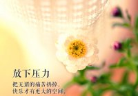 ​betsy中文名字意思（betsy是安好的意思吗）
