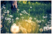 ​cs战队中文名字（cs 战队所有人员名单）