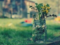 ​朋友圈励志说说配图（兼职朋友圈正能量语录）