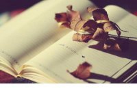 ​早安励志说说正能量