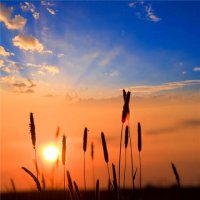 ​放寒假的开心说说 寒假说说心情短语[30条]