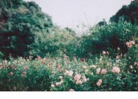 ​下雨天的心情说说励志 早安励志说说带图片