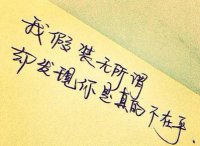 ​情感感言语录句句经典语录 人生情感与生活感悟经典语录