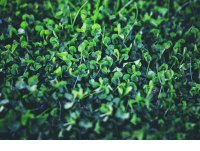 ​微信个性签名幸福说说（幸福个性说说大全唯美）