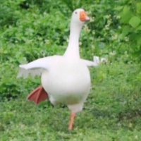 ​五一出去玩的说说 五一假期说说