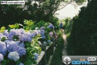 ​发表微信说说的句子带图片（靠自己努力奋斗的说说）