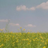 ​关于累的说说心情说说