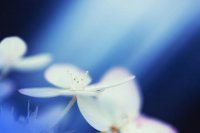 ​肠胃 适合发朋友圈的说说