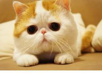 ​2023元旦跨年晚会适合发朋友圈文案说说