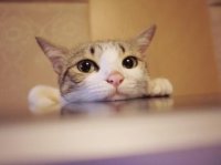 ​心情说说很现实的说说