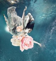 ​感悟人生的经典哲理说说短语(人生感悟的句子带图片)