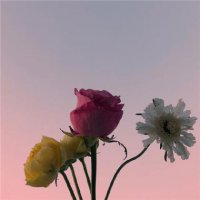 ​关于我喜欢你的说说