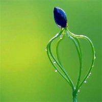 ​说说生活 关于生活不易的句子