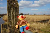 ​长大的说说简短 长大了懂事了 让你突然长大的短句