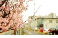 ​关于爱情的说说带图片